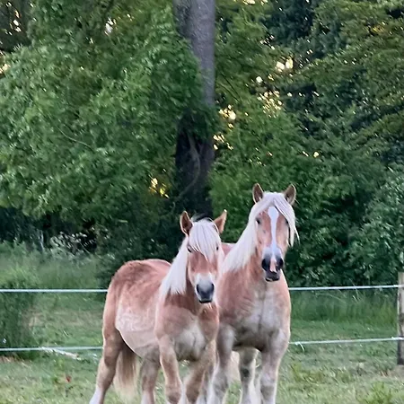 Objerggaard * Ebberup