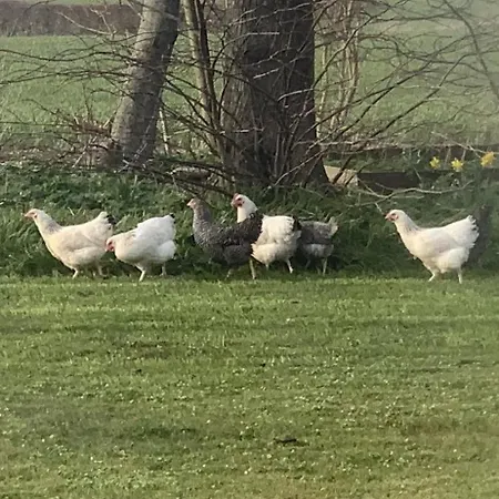 Landsted Objerggaard *