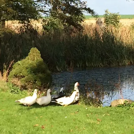 Objerggaard Landsted Ebberup