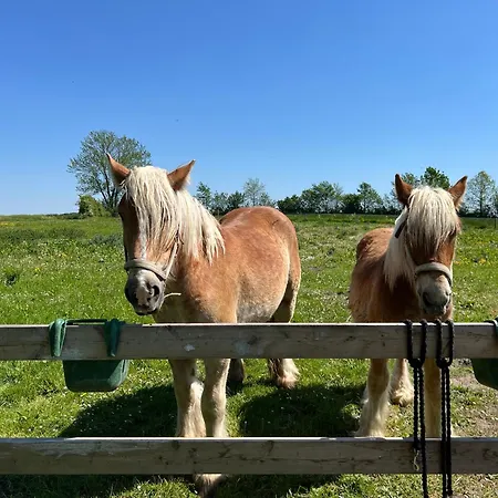 Objerggaard Εξοχικό σπίτι