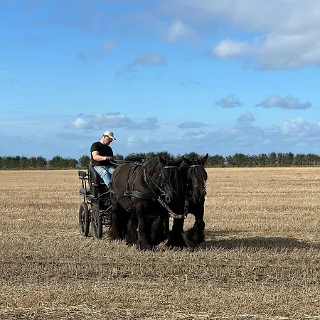 Objerggaard Εξοχικό σπίτι Ebberup