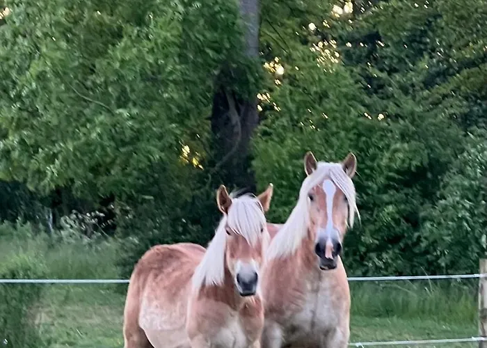 Objerggaard * Ebberup