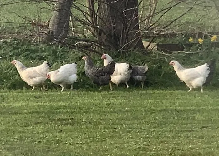 Casa di campagna Objerggaard *