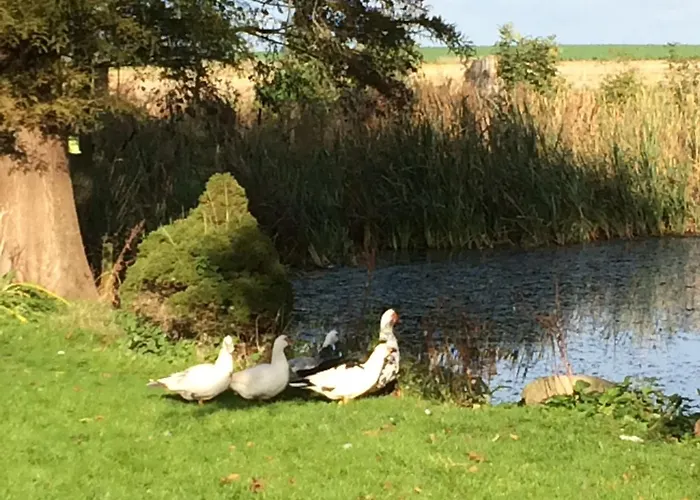 Objerggaard Casa di campagna Ebberup
