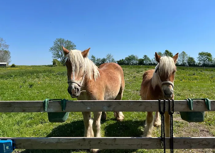 Objerggaard Casa di campagna