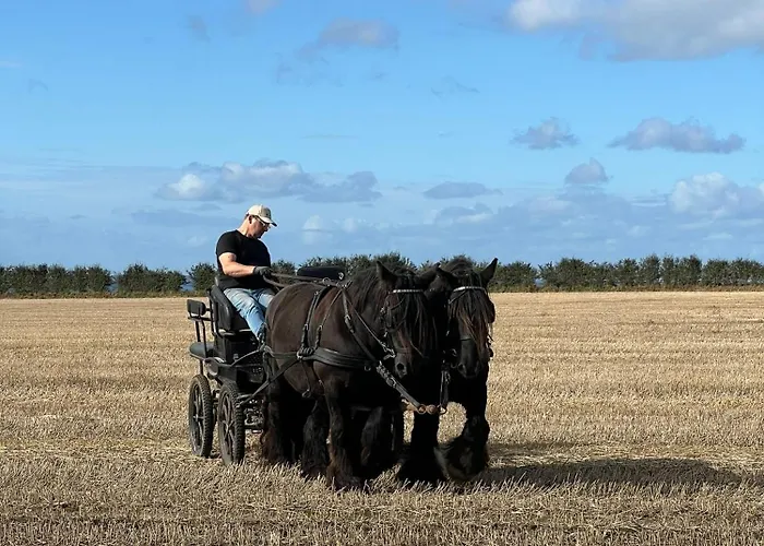 Objerggaard Casa di campagna Ebberup